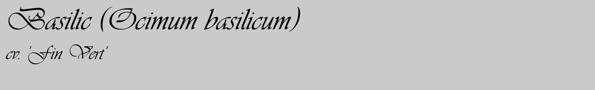 Étiquette de : Ocimum basilicum cv. 'Fin Vert' - format c - style noire21_basique_basiqueviv avec comestibilité