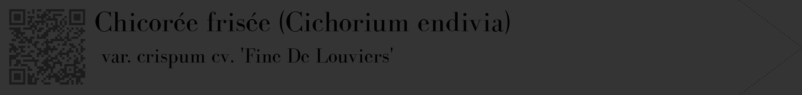 Étiquette de : Cichorium endivia var. crispum cv. 'Fine De Louviers' - format c - style noire46_simple_simplebod avec qrcode et comestibilité