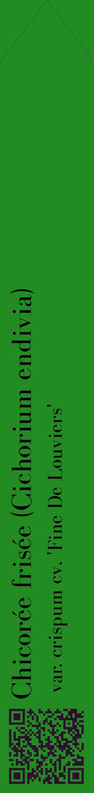 Étiquette de : Cichorium endivia var. crispum cv. 'Fine De Louviers' - format c - style noire10_simplebod avec qrcode et comestibilité