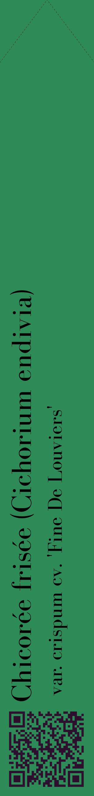 Étiquette de : Cichorium endivia var. crispum cv. 'Fine De Louviers' - format c - style noire11_simplebod avec qrcode et comestibilité