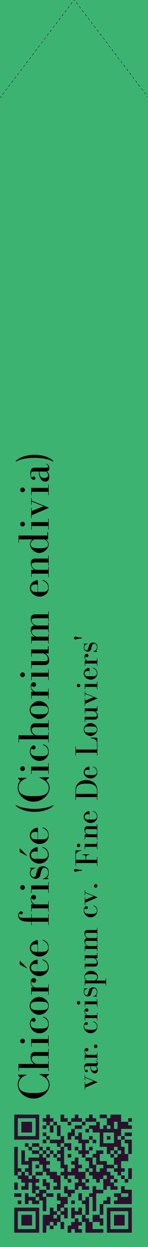 Étiquette de : Cichorium endivia var. crispum cv. 'Fine De Louviers' - format c - style noire12_simplebod avec qrcode et comestibilité