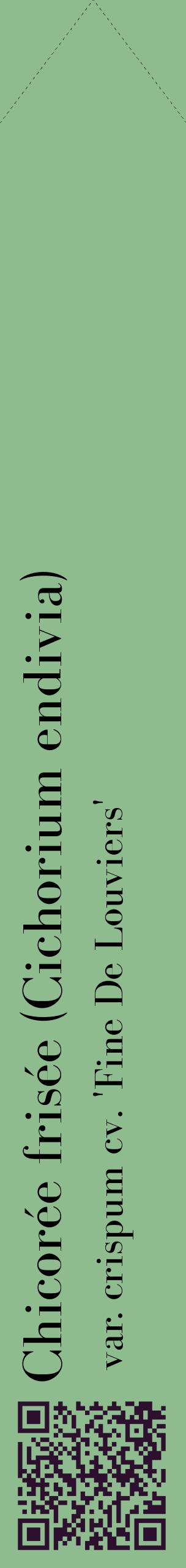 Étiquette de : Cichorium endivia var. crispum cv. 'Fine De Louviers' - format c - style noire13_simplebod avec qrcode et comestibilité
