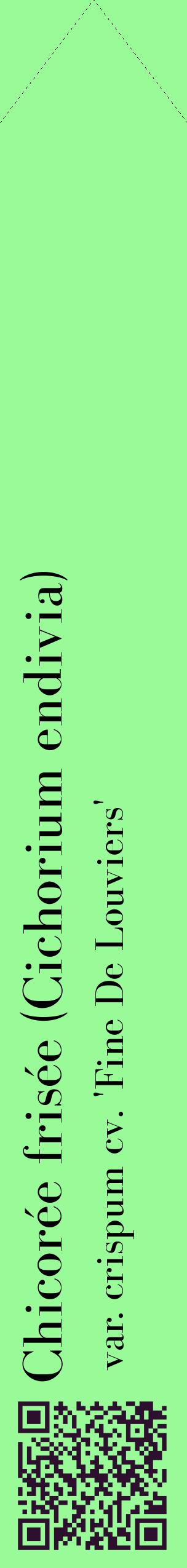 Étiquette de : Cichorium endivia var. crispum cv. 'Fine De Louviers' - format c - style noire14_simplebod avec qrcode et comestibilité