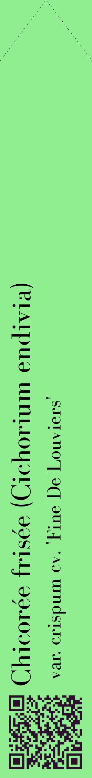 Étiquette de : Cichorium endivia var. crispum cv. 'Fine De Louviers' - format c - style noire15_simplebod avec qrcode et comestibilité
