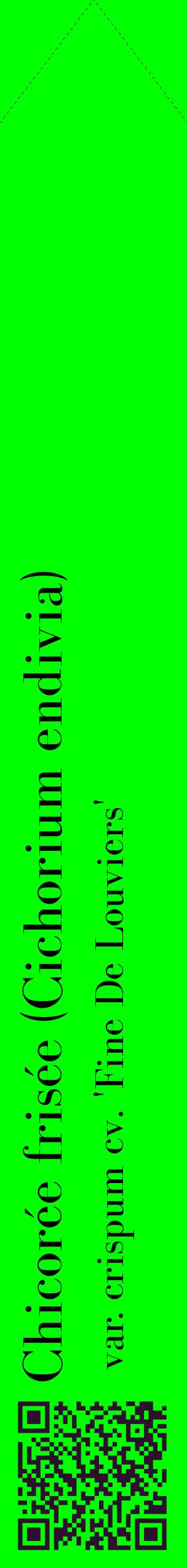 Étiquette de : Cichorium endivia var. crispum cv. 'Fine De Louviers' - format c - style noire16_simplebod avec qrcode et comestibilité