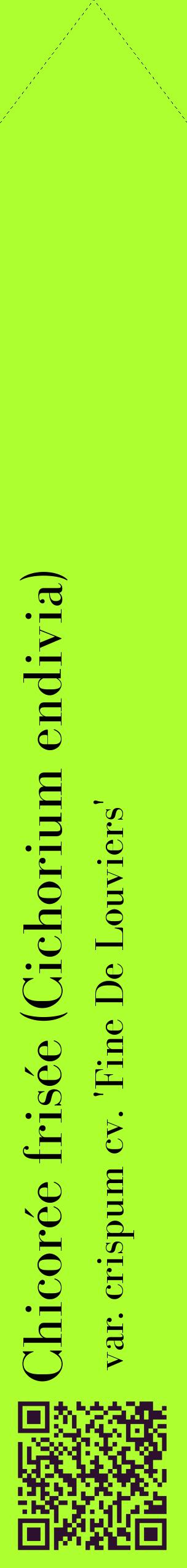 Étiquette de : Cichorium endivia var. crispum cv. 'Fine De Louviers' - format c - style noire17_simplebod avec qrcode et comestibilité