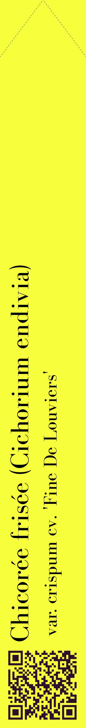 Étiquette de : Cichorium endivia var. crispum cv. 'Fine De Louviers' - format c - style noire18_simplebod avec qrcode et comestibilité