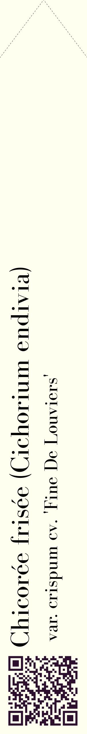 Étiquette de : Cichorium endivia var. crispum cv. 'Fine De Louviers' - format c - style noire19_simplebod avec qrcode et comestibilité