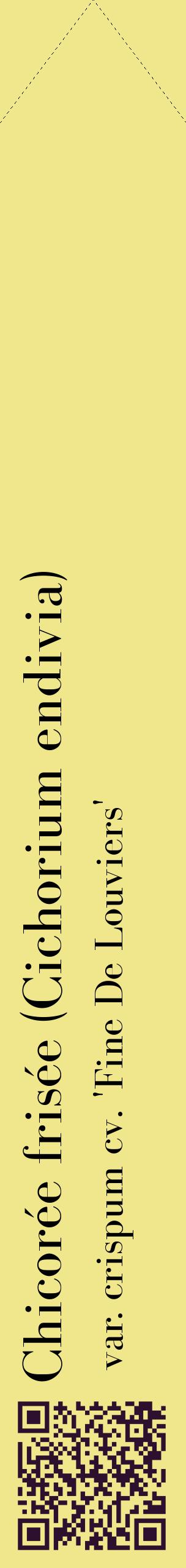 Étiquette de : Cichorium endivia var. crispum cv. 'Fine De Louviers' - format c - style noire20_simplebod avec qrcode et comestibilité