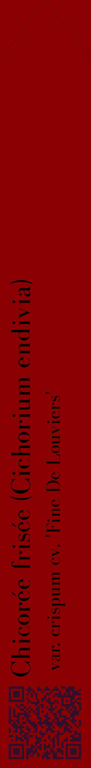 Étiquette de : Cichorium endivia var. crispum cv. 'Fine De Louviers' - format c - style noire34_simplebod avec qrcode et comestibilité