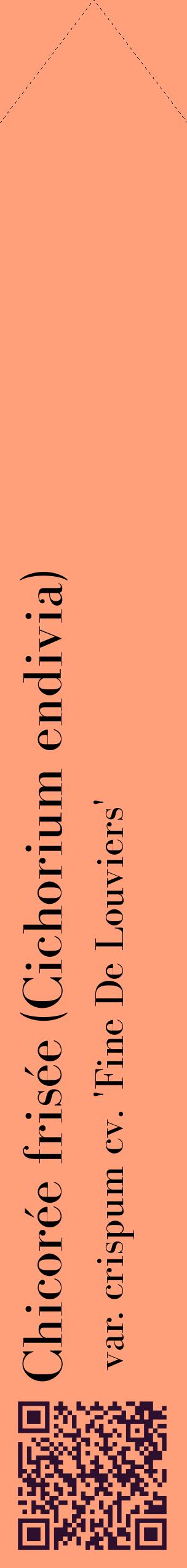 Étiquette de : Cichorium endivia var. crispum cv. 'Fine De Louviers' - format c - style noire39_simplebod avec qrcode et comestibilité