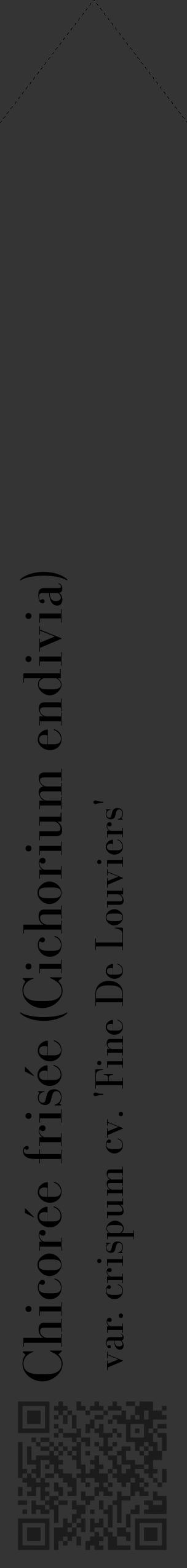 Étiquette de : Cichorium endivia var. crispum cv. 'Fine De Louviers' - format c - style noire46_simple_simplebod avec qrcode et comestibilité - position verticale