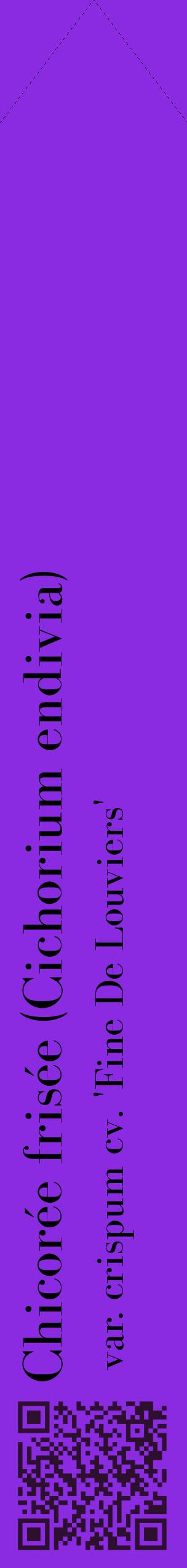 Étiquette de : Cichorium endivia var. crispum cv. 'Fine De Louviers' - format c - style noire49_simplebod avec qrcode et comestibilité