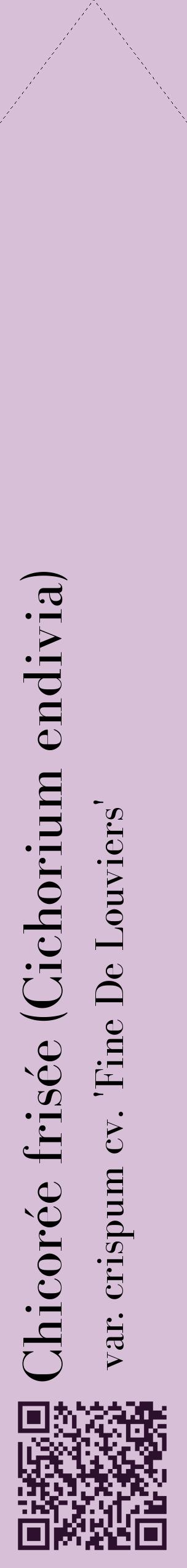 Étiquette de : Cichorium endivia var. crispum cv. 'Fine De Louviers' - format c - style noire54_simplebod avec qrcode et comestibilité