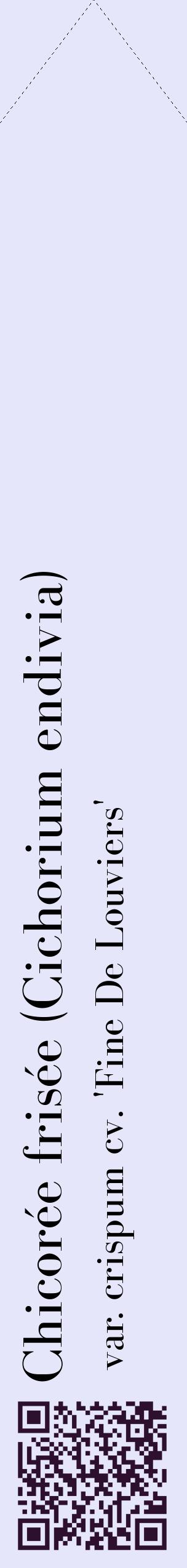 Étiquette de : Cichorium endivia var. crispum cv. 'Fine De Louviers' - format c - style noire55_simplebod avec qrcode et comestibilité