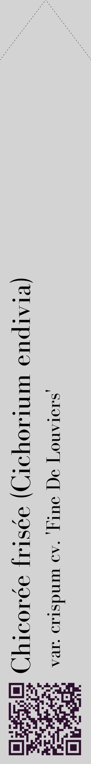 Étiquette de : Cichorium endivia var. crispum cv. 'Fine De Louviers' - format c - style noire56_simplebod avec qrcode et comestibilité