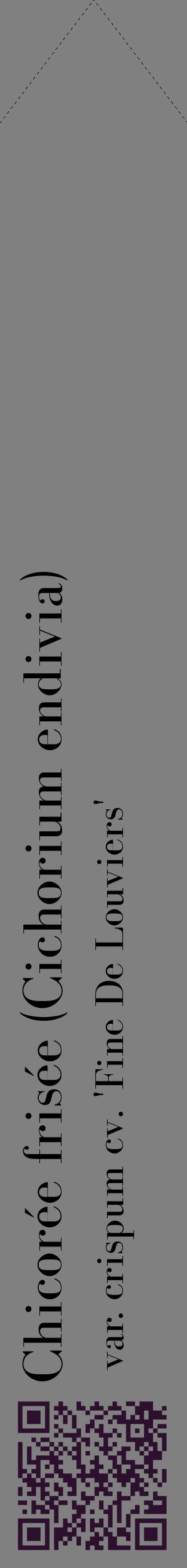 Étiquette de : Cichorium endivia var. crispum cv. 'Fine De Louviers' - format c - style noire57_simplebod avec qrcode et comestibilité