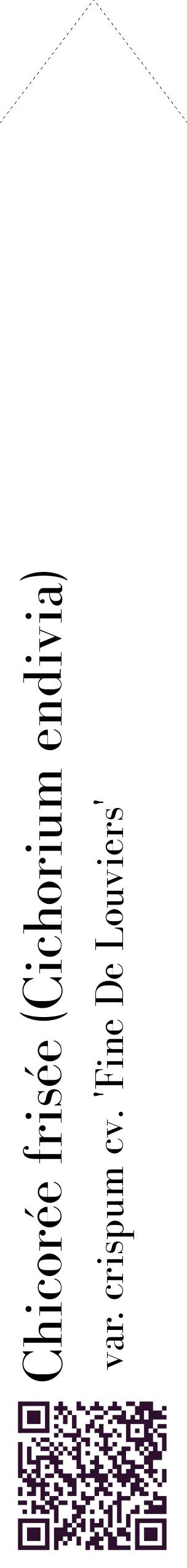 Étiquette de : Cichorium endivia var. crispum cv. 'Fine De Louviers' - format c - style noire60_simplebod avec qrcode et comestibilité