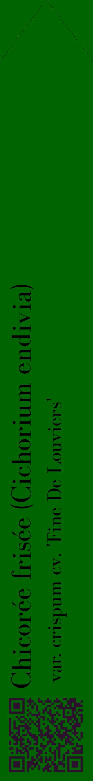 Étiquette de : Cichorium endivia var. crispum cv. 'Fine De Louviers' - format c - style noire8_simplebod avec qrcode et comestibilité