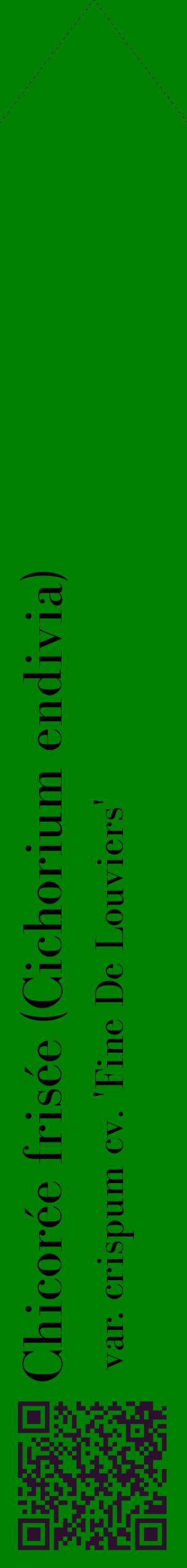 Étiquette de : Cichorium endivia var. crispum cv. 'Fine De Louviers' - format c - style noire9_simplebod avec qrcode et comestibilité