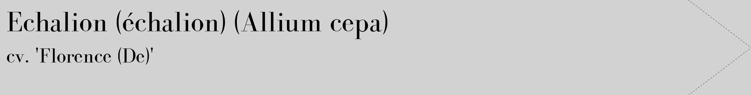 Étiquette de : Allium cepa cv. 'Florence (De)' - format c - style noire14_simple_simplebod avec comestibilité