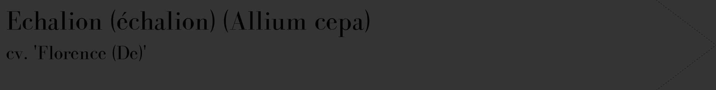 Étiquette de : Allium cepa cv. 'Florence (De)' - format c - style noire46_simple_simplebod avec comestibilité