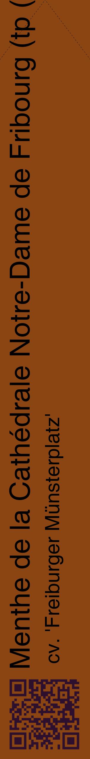 Étiquette de : Mentha cv. 'Freiburger Münsterplatz' - format c - style noire30_simplehel avec qrcode et comestibilité