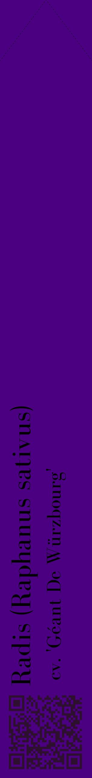 Étiquette de : Raphanus sativus cv. 'Géant De Würzbourg' - format c - style noire47_simplebod avec qrcode et comestibilité