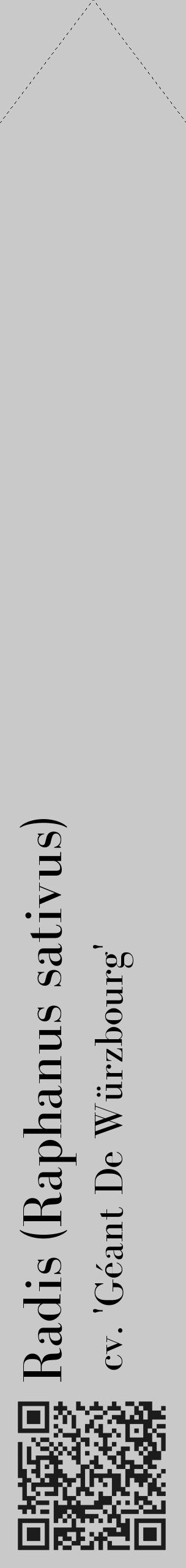 Étiquette de : Raphanus sativus cv. 'Géant De Würzbourg' - format c - style noire54_simple_simplebod avec qrcode et comestibilité - position verticale