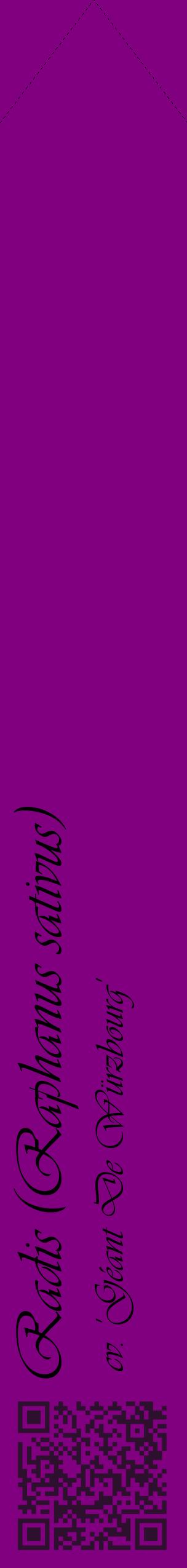 Étiquette de : Raphanus sativus cv. 'Géant De Würzbourg' - format c - style noire46_simpleviv avec qrcode et comestibilité