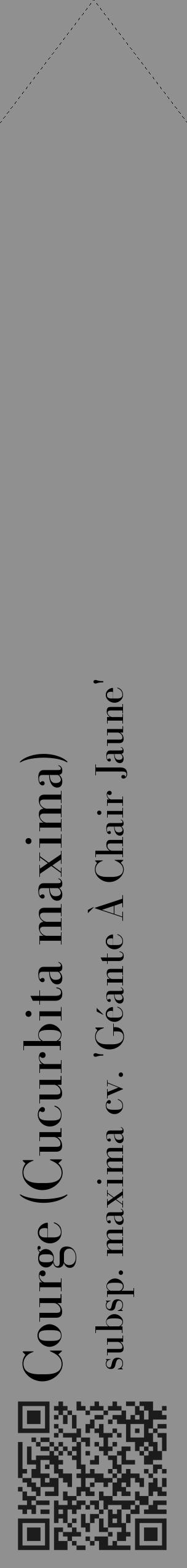 Étiquette de : Cucurbita maxima subsp. maxima cv. 'Géante À Chair Jaune' - format c - style noire4_simple_simplebod avec qrcode et comestibilité - position verticale