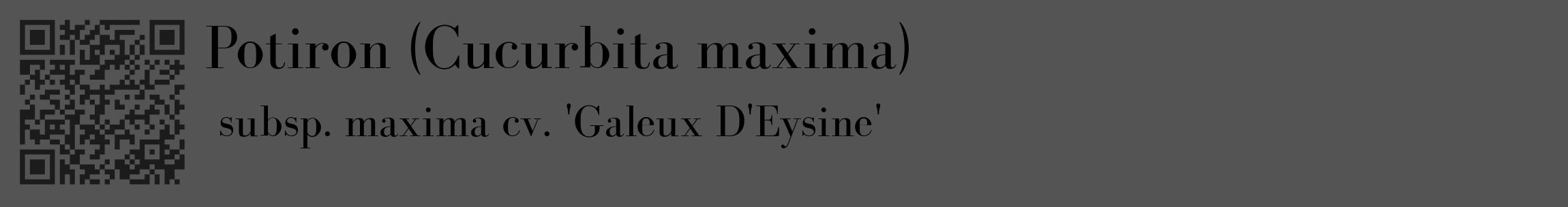 Étiquette de : Cucurbita maxima subsp. maxima cv. 'Galeux D'Eysine' - format c - style noire36_basique_basiquebod avec qrcode et comestibilité