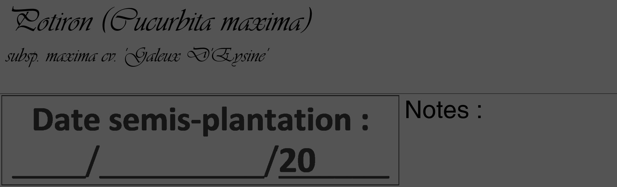 Étiquette de : Cucurbita maxima subsp. maxima cv. 'Galeux D'Eysine' - format c - style noire36_basique_basiqueviv avec comestibilité