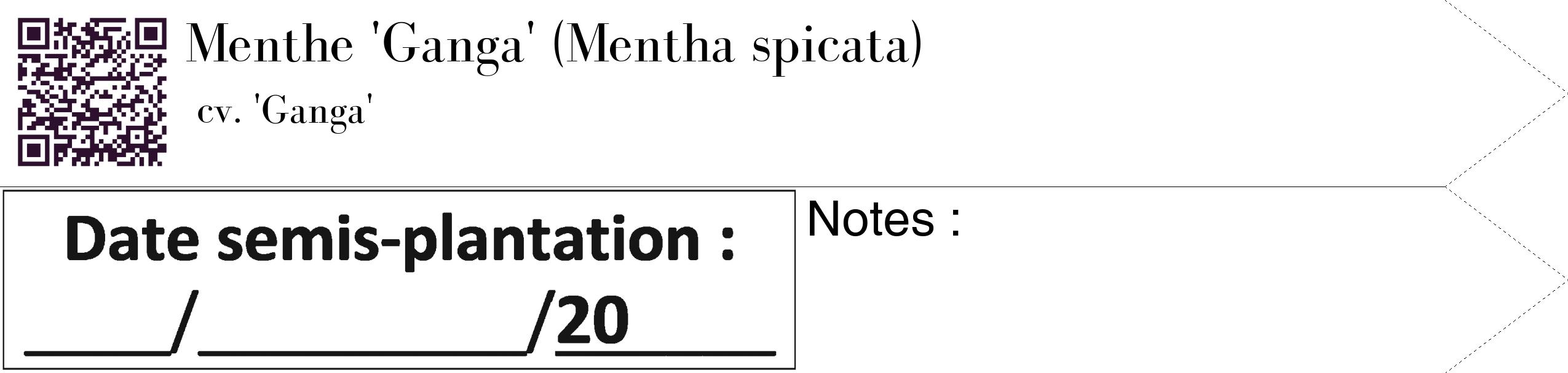 Étiquette de : Mentha spicata cv. 'Ganga' - format c - style noire60_simple_simplebod avec qrcode et comestibilité