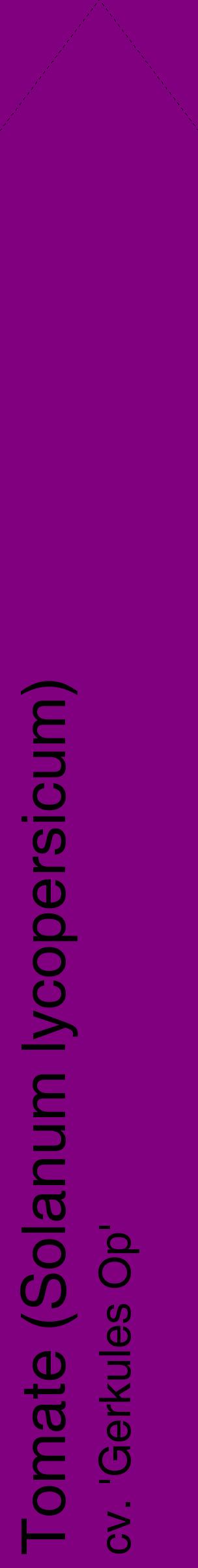 Étiquette de : Solanum lycopersicum cv. 'Gerkules Op' - format c - style noire46_simplehel avec comestibilité