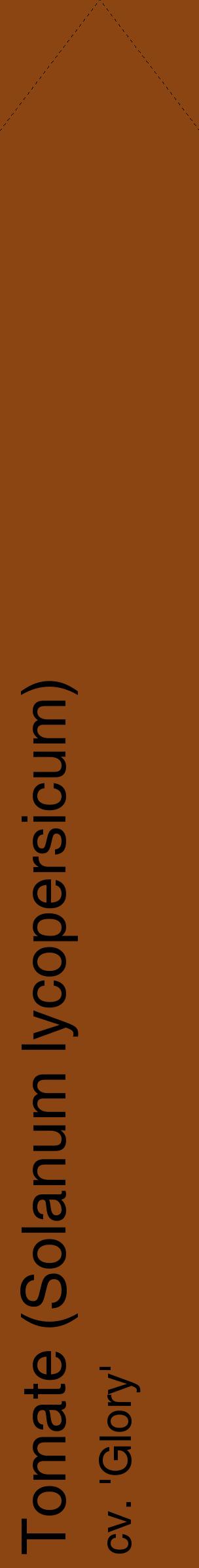 Étiquette de : Solanum lycopersicum cv. 'Glory' - format c - style noire30_simplehel avec comestibilité