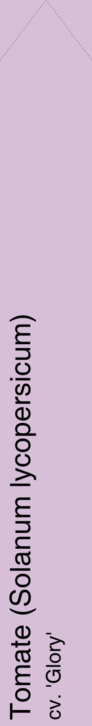 Étiquette de : Solanum lycopersicum cv. 'Glory' - format c - style noire54_simplehel avec comestibilité