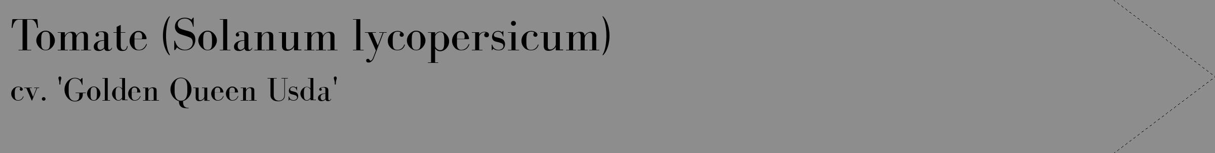 Étiquette de : Solanum lycopersicum cv. 'Golden Queen Usda' - format c - style noire2_simple_simplebod avec comestibilité