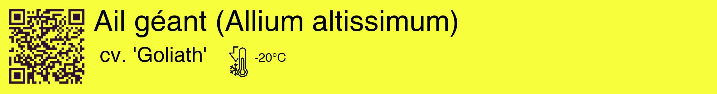 Étiquette de : Allium altissimum cv. 'Goliath' - format c - style noire18_basique_basiquehel avec qrcode et comestibilité