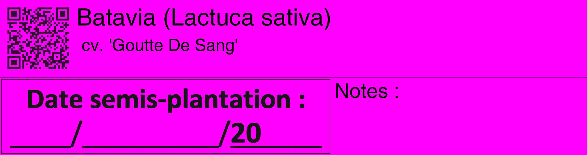 Étiquette de : Lactuca sativa cv. 'Goutte De Sang' - format c - style noire51_basique_basiquehel avec qrcode et comestibilité