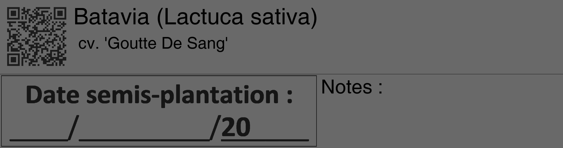 Étiquette de : Lactuca sativa cv. 'Goutte De Sang' - format c - style noire51_basique_basiquehel avec qrcode et comestibilité