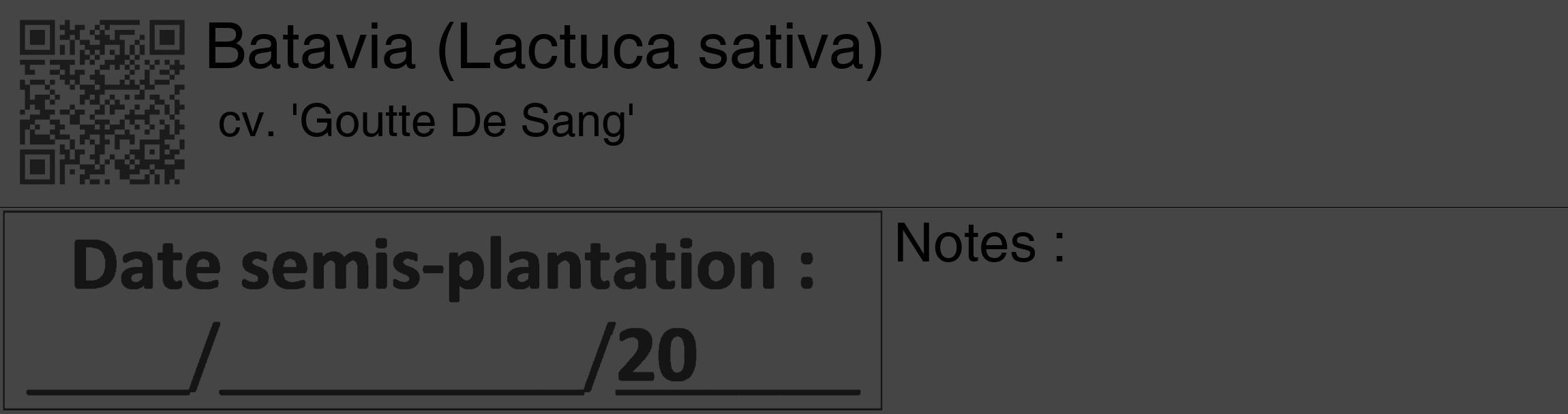 Étiquette de : Lactuca sativa cv. 'Goutte De Sang' - format c - style noire58_basique_basiquehel avec qrcode et comestibilité
