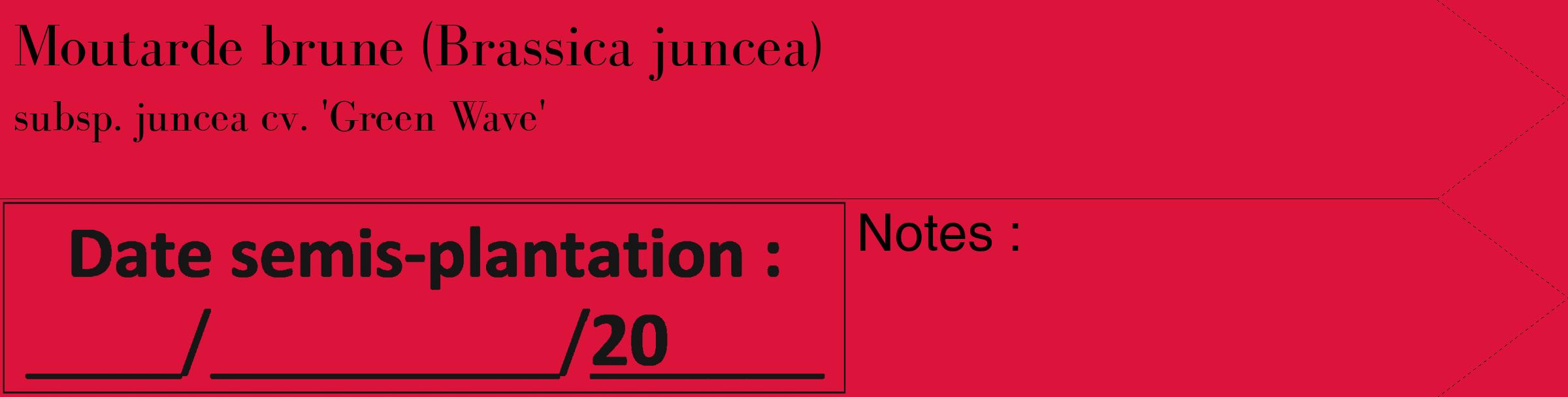 Étiquette de : Brassica juncea subsp. juncea cv. 'Green Wave' - format c - style noire36_simple_simplebod avec comestibilité