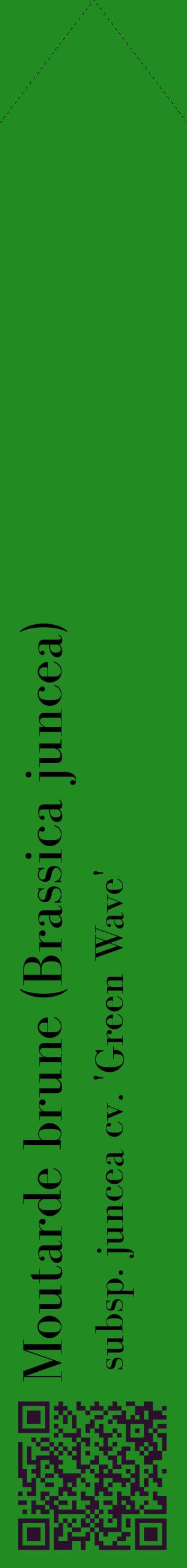 Étiquette de : Brassica juncea subsp. juncea cv. 'Green Wave' - format c - style noire10_simplebod avec qrcode et comestibilité