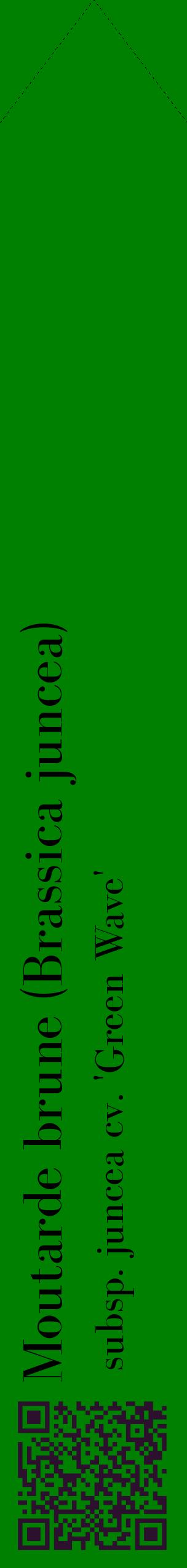 Étiquette de : Brassica juncea subsp. juncea cv. 'Green Wave' - format c - style noire9_simplebod avec qrcode et comestibilité