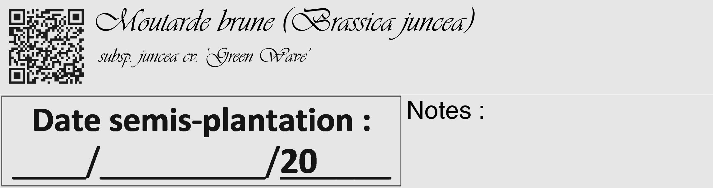 Étiquette de : Brassica juncea subsp. juncea cv. 'Green Wave' - format c - style noire18_basique_basiqueviv avec qrcode et comestibilité
