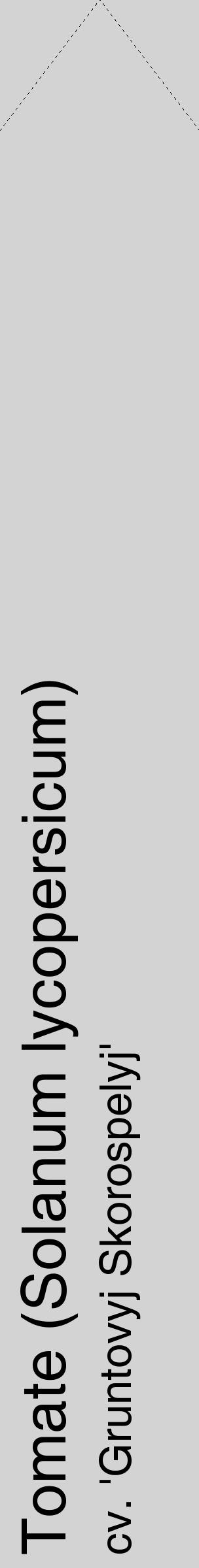 Étiquette de : Solanum lycopersicum cv. 'Gruntovyj Skorospelyj' - format c - style noire56_simple_simplehel avec comestibilité - position verticale