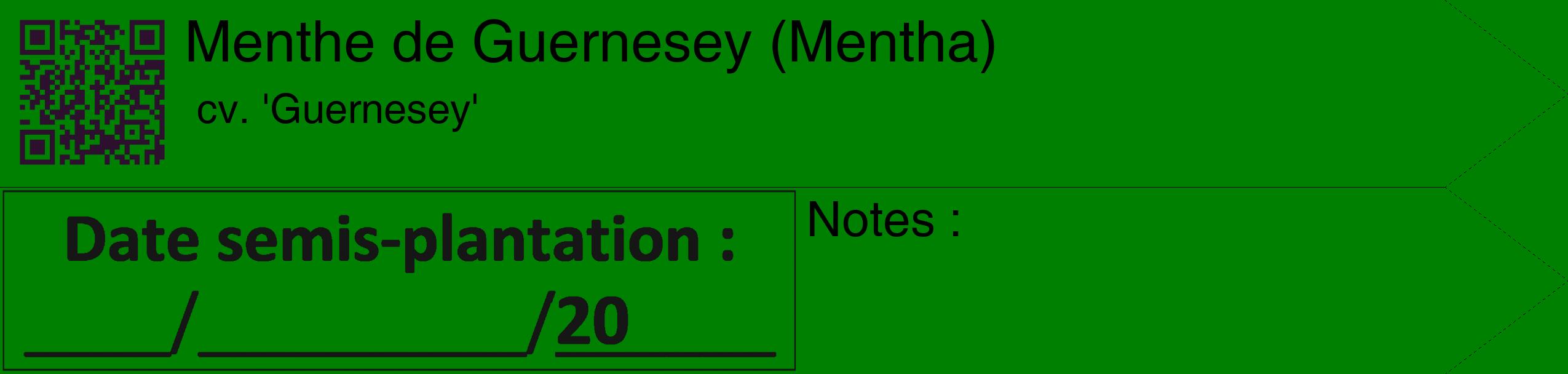 Étiquette de : Mentha cv. 'Guernesey' - format c - style noire9_simple_simplehel avec qrcode et comestibilité