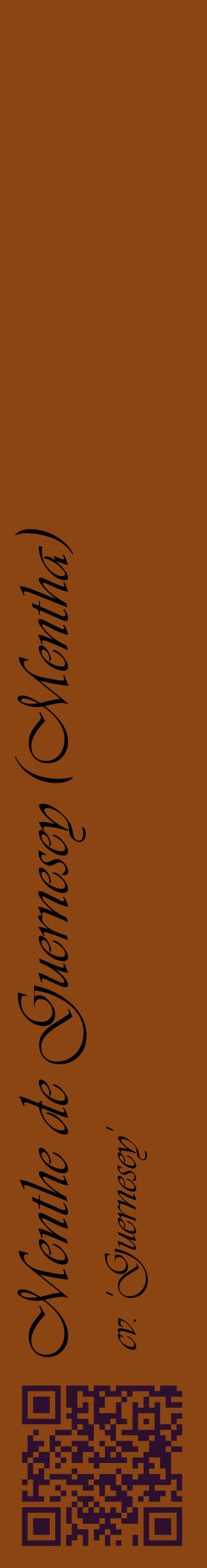 Étiquette de : Mentha cv. 'Guernesey' - format c - style noire30_basiqueviv avec qrcode et comestibilité