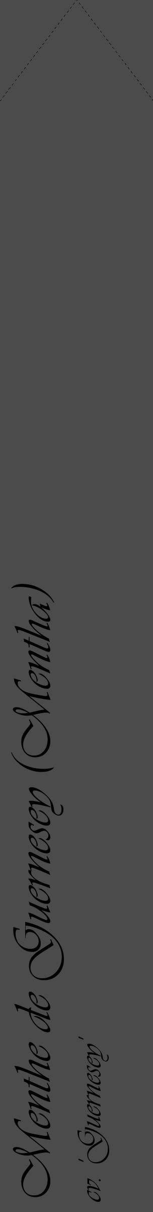 Étiquette de : Mentha cv. 'Guernesey' - format c - style noire9_simple_simpleviv avec comestibilité - position verticale